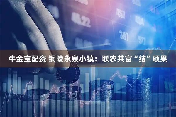 牛金宝配资 铜陵永泉小镇：联农共富“结”硕果
